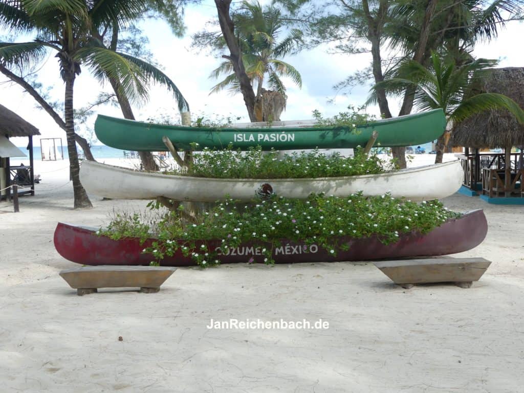 Isla Pasion - Cozumel in Mexiko - Pflanzenboote