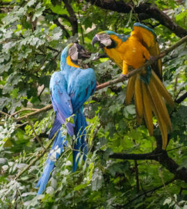 Fotokurs Tierpark Hellabrunn