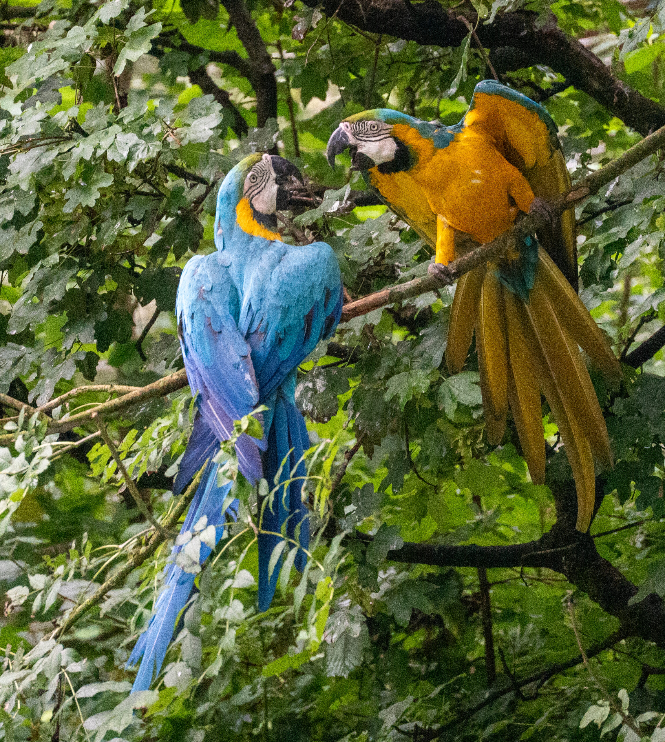 Fotokurs Tierpark Hellabrunn